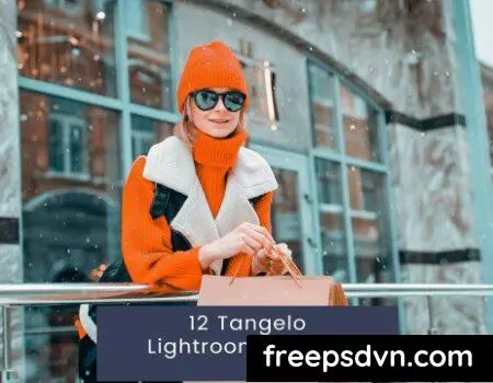 12 Tangelo Lightroom Presets 5946XU5 0