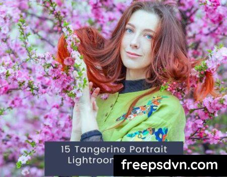 15 Tangerine Portrait Lightroom Presets K9YWB9Q 0