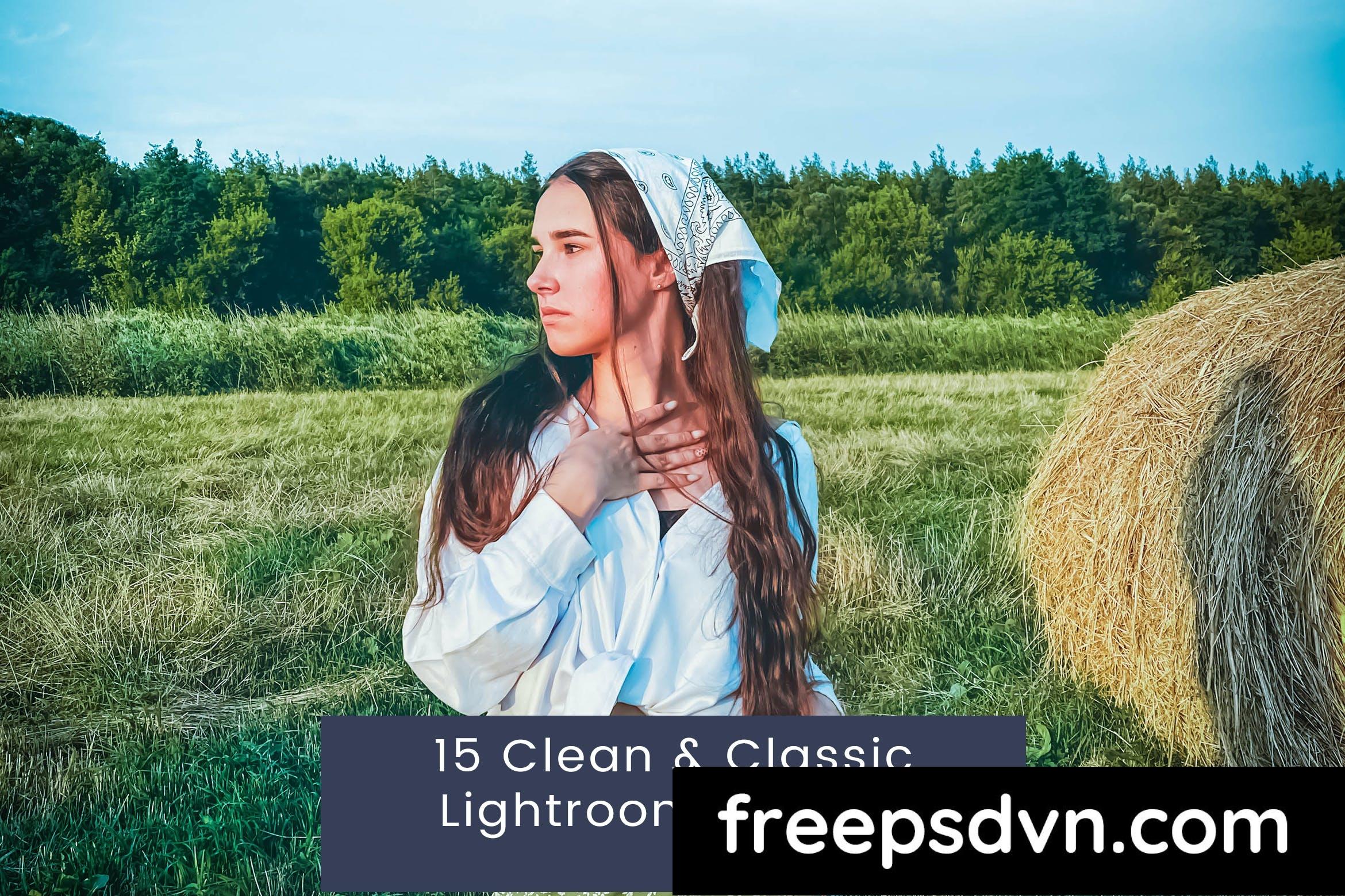 15 clean classic lightroom presets klmwdvs 0