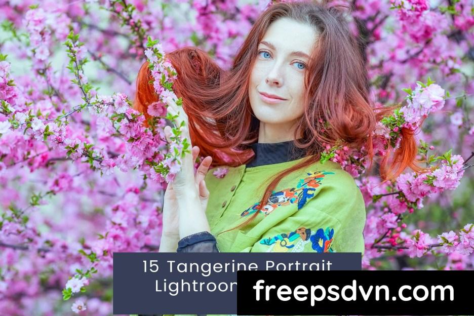 15 tangerine portrait lightroom presets k9ywb9q 0