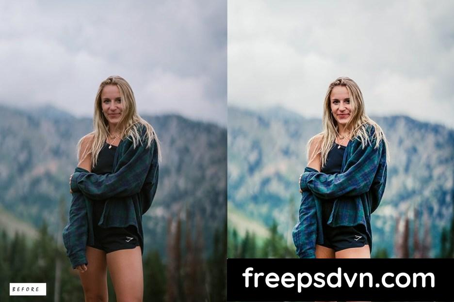 capture one complementary presets