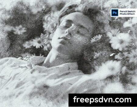 Pencil Sketch Photo Effect 7T85VVA Pencil Sketch Photo Effect 7T85VVA 0