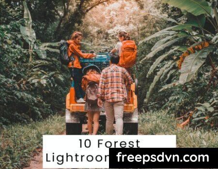 10 Forest Lightroom Presets S8SCF6U 0