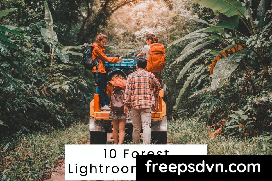 10 forest lightroom presets s8scf6u 0