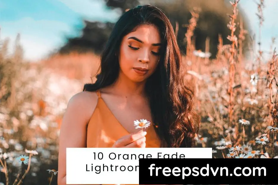 10 orange fade lightroom presets vufxy6u 0