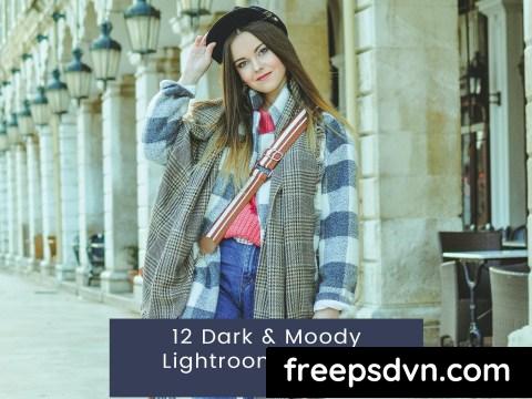 12 Dark Moody Lightroom Presets JKS8U7P 0