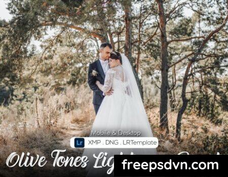 12 Olive Tones Lightroom Preset CWJT2JE 12 Olive Tones Lightroom Preset CWJT2JE 0