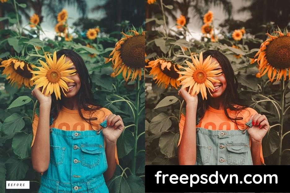 capture one presets download