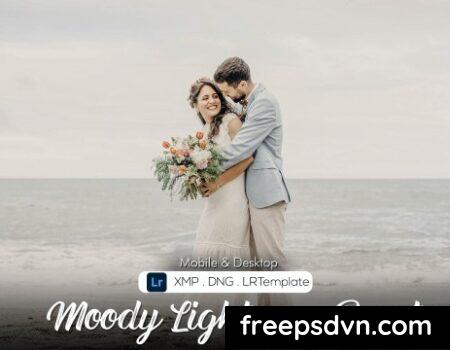 15 Moody Lightroom Preset 84AP4XJ 15 Moody Lightroom Preset 84AP4XJ 0