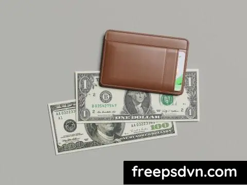 Credit Card and Money Display Mockup RDR4F3D 0