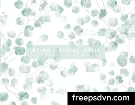 Foggy Eucaliptus 7XG2Z8U 0