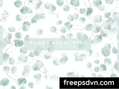 Foggy Eucaliptus 7XG2Z8U 0