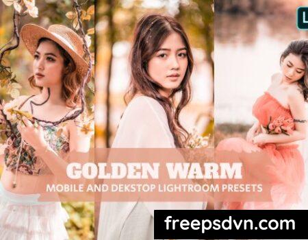 Golden Warm Lightroom Presets Dekstop and Mobile QFASLYG 0