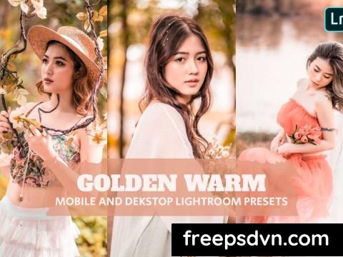 Golden Warm Lightroom Presets Dekstop and Mobile QFASLYG 0