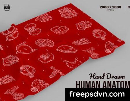 Hand Drawn Human Anatomy Set LKH95J4 Hand Drawn Human Anatomy Set LKH95J4 0