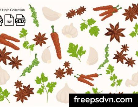 Herb Collection QV3R4V6 0