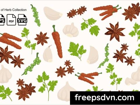 Herb Collection QV3R4V6 0