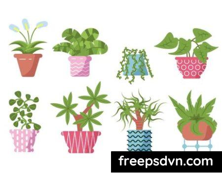 Home Plants Set YP8JGMY Home Plants Set YP8JGMY 0