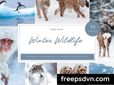 Lightroom Presets Winter Wildlife F8RFUMY 0