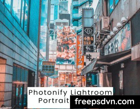 Photonify Lightroom Portrait Presets SFR4YSG 0