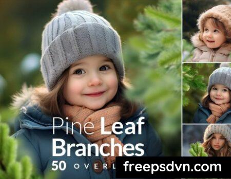 Pine Branches Christmas transparent PNG Overlays SGS2MK4 0