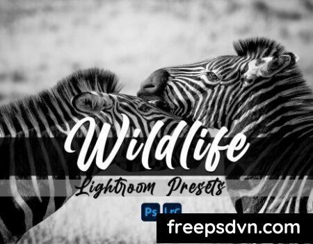 Wildlife Lightroom Presets QDVF7F2 QDVF7F2 AWuSutOFhc