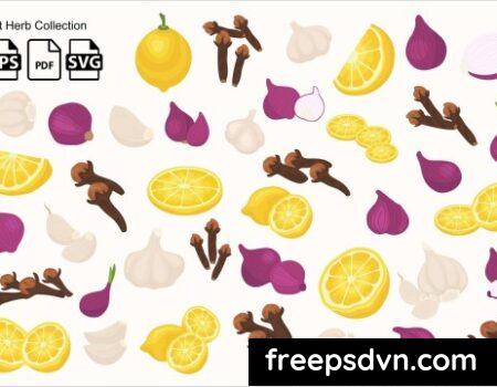 Set Herb Collection UFQ4ZHD Set Herb Collection UFQ4ZHD 0