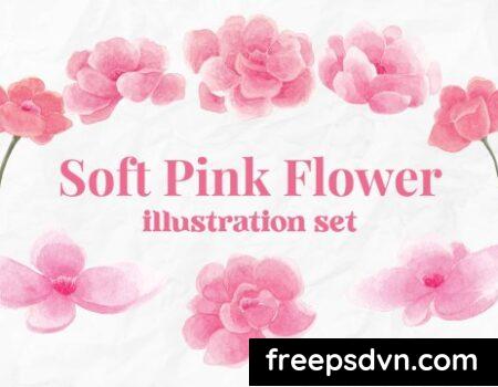 Soft Pink Flower Watercolor Illustration Ngfjr48 0