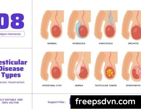 Testicular Disease – Human Body Organ Anatomy TQ6HEFU Testicular Disease Human Body Organ Anatomy TQ6HEFU 0