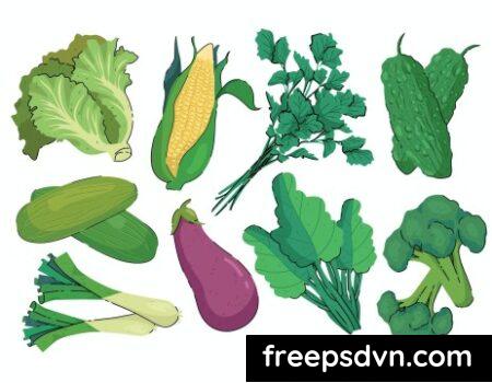 Vegetables Illustration set 82DPNJ9 Vegetables Illustration set 82DPNJ9 0
