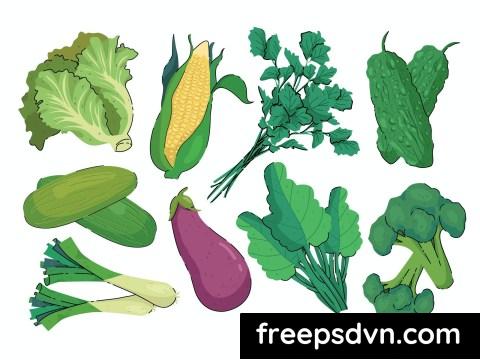 Vegetables Illustration set 82DPNJ9 0