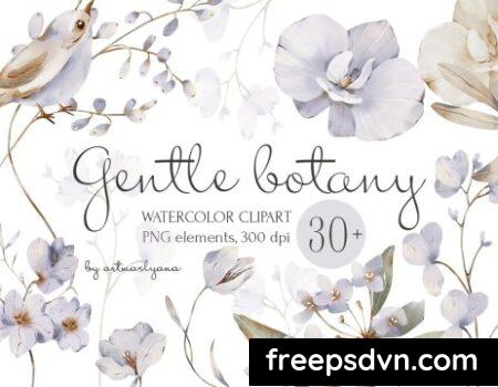 Watercolor collection Gentle botany clipart UXEU6JH 0