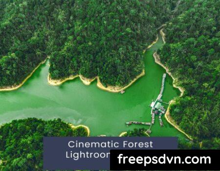 Cinematic Forest Lightroom Presets Y4BBJ57 Y4BBJ57 tSpDyoZrYX