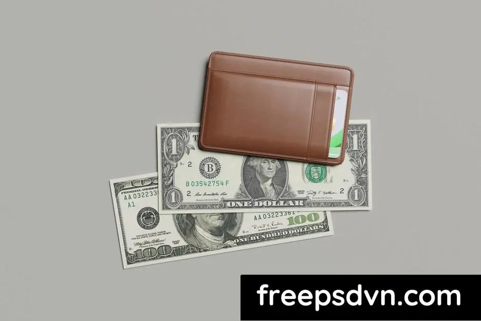 credit card and money display mockup rdr4f3d 0 1