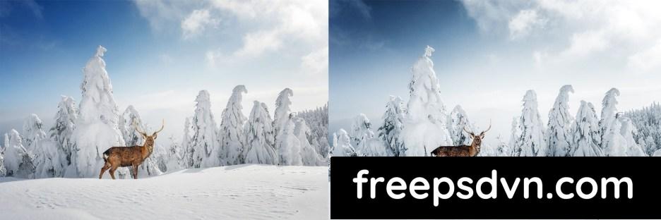 lightroom presets winter wildlife f8rfumy 3