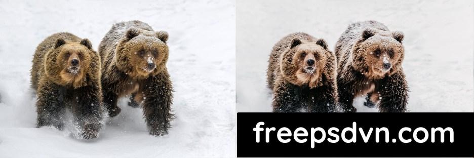 lightroom presets winter wildlife f8rfumy 7