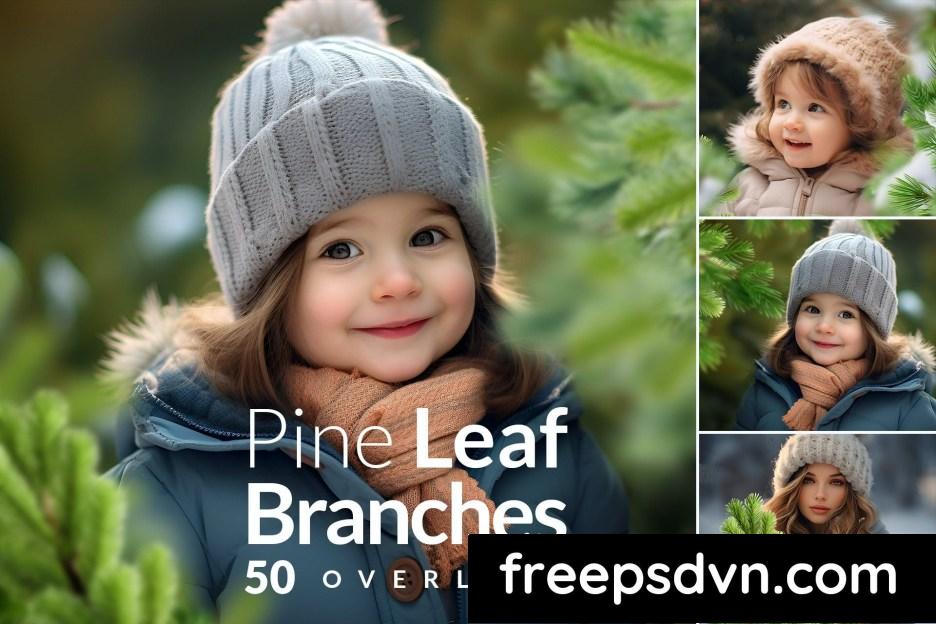 pine branches christmas transparent png overlays sgs2mk4 0 1