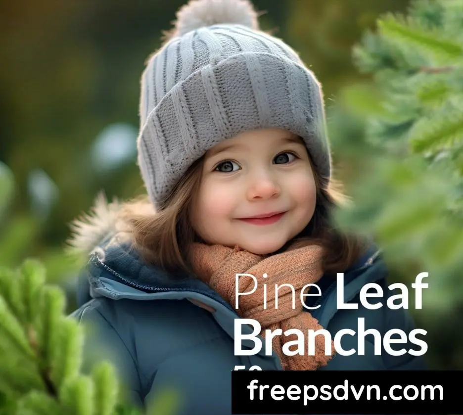 pine branches christmas transparent png overlays sgs2mk4 1