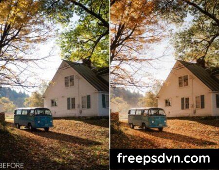 Sean Dalton β Autumn Tones Preset Pack sean dalton autumn tones preset pack 1 1