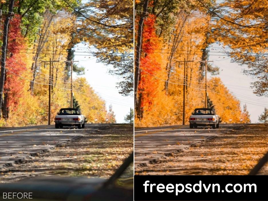 Sean Dalton - Autumn Tones Preset Pack