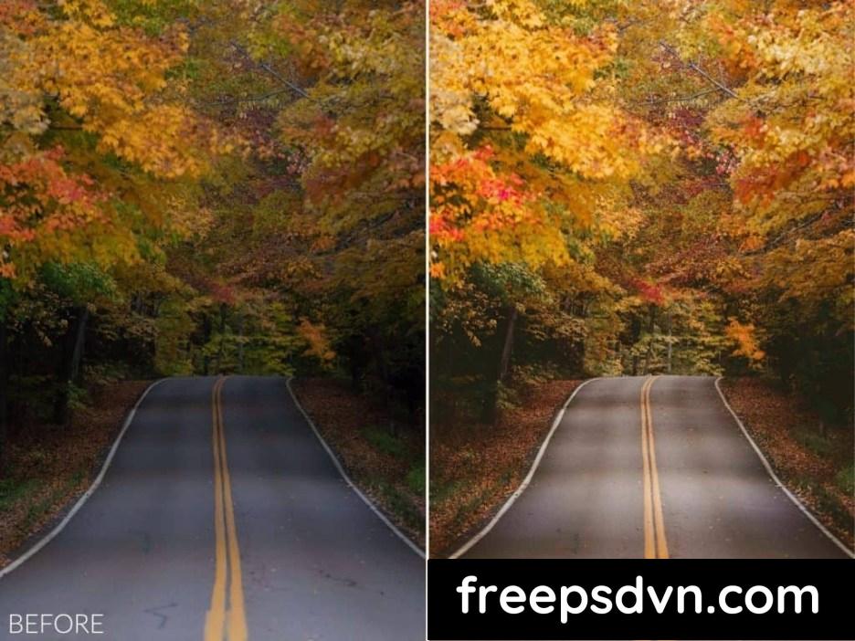 Sean Dalton - Autumn Tones Preset Pack