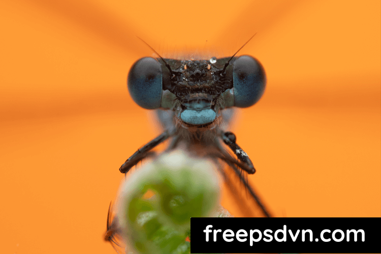 Stewart Wood - Macro Presets V3 (16 AI Adaptive Presets)