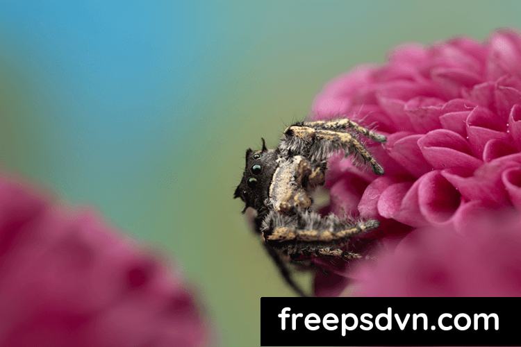 Stewart Wood - Macro Presets V3 (16 AI Adaptive Presets)