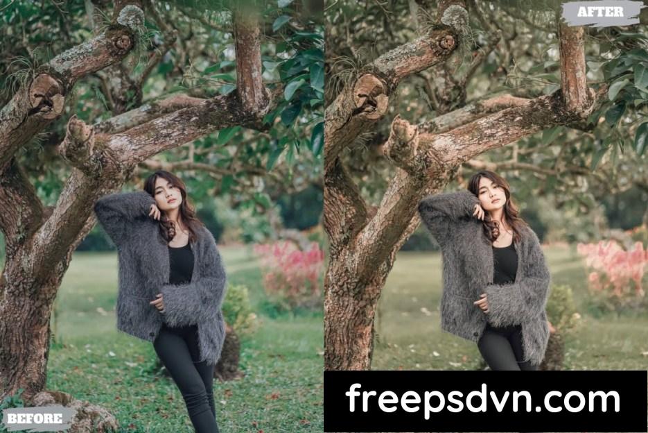 warm earthy lightroom presets dekstop and mobile ca7yf35 2