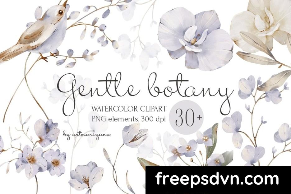 watercolor collection gentle botany clipart uxeu6jh 0