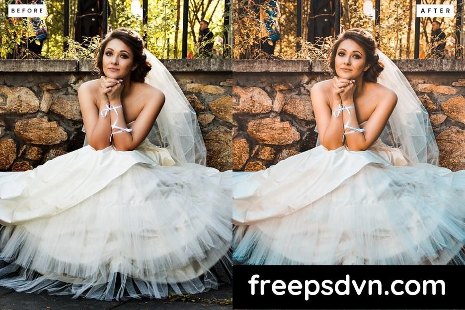 wedding day presets 772azl4 2 1