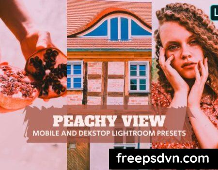 Peachy View Lightroom Presets Dekstop and Mobile 6VQ4MAQ 6VQ4MAQ NRFY275Eve