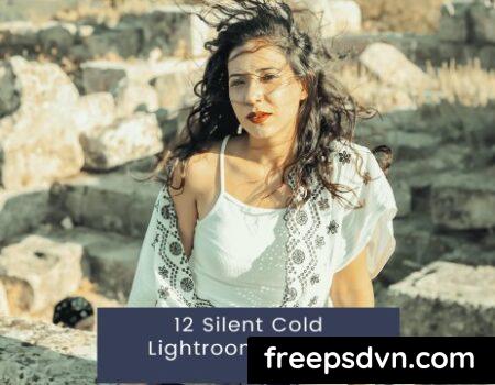 12 Silent Cold Lightroom Presets 99KFG9Z 99KFG9Z U5XuFCCi6O