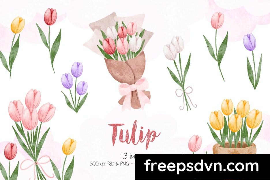 watercolor illustration set of tulip u2m486g 0