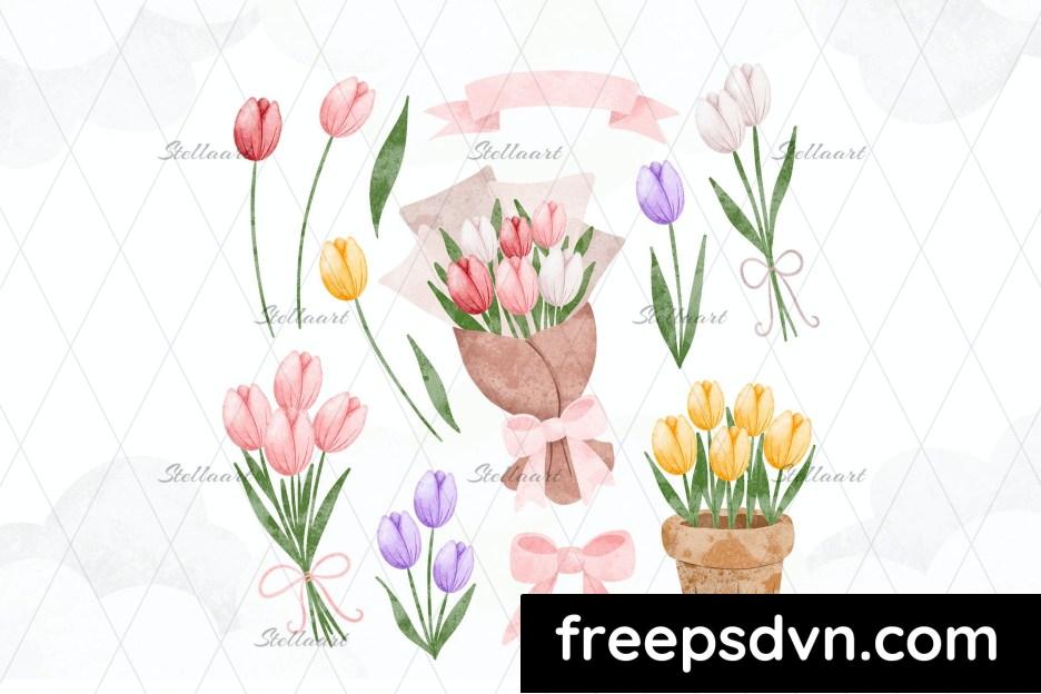 watercolor illustration set of tulip u2m486g 1